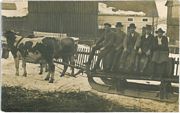 Ochsengespann mit Schelter Hans (Mller) ganz links und Ludwig Rauber in der Mitte